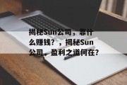 揭秘Sun公司，靠什么赚钱？，揭秘Sun公司，盈利之道何在？