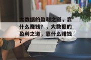 大数据的盈利之道，靠什么赚钱？，大数据的盈利之道，靠什么赚钱？