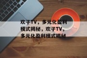 欢子TV，多元化盈利模式揭秘，欢子TV，多元化盈利模式揭秘