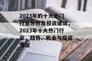 2023年的十大热门行业分析及投资建议，2023年十大热门行业，趋势、机会与投资建议