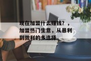 现在加盟什么赚钱？，加盟热门生意，从暴利到微利的多选择