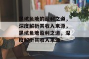 黑坑鱼塘的盈利之道，深度解析其收入来源，黑坑鱼塘盈利之道，深度解析其收入来源