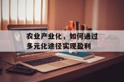 农业产业化，如何通过多元化途径实现盈利