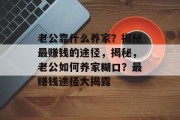 老公靠什么养家？揭秘最赚钱的途径，揭秘，老公如何养家糊口？最赚钱途径大揭露