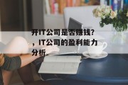 开IT公司是否赚钱？，IT公司的盈利能力分析