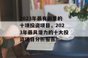 2023年最有前景的十项投资项目，2023年最具潜力的十大投资项目分析报告