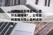 公司如何实现盈利，靠什么最赚钱？，公司盈利策略与核心盈利点分析