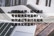 打孔钻水井，如何通过专业服务实现盈利？，如何通过专业打孔钻水井服务实现盈利？