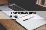 山东职业本科分数的简单介绍