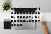 斯莱克公司，如何通过多元化业务模式实现盈利，斯莱克公司，多元化业务模式下的盈利策略与实践