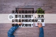 沈苏公司盈利模式揭秘，靠什么赚钱？，沈苏公司盈利模式揭秘，靠哪些方式赚钱？