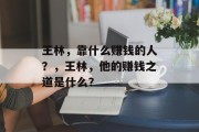 王林，靠什么赚钱的人？，王林，他的赚钱之道是什么？