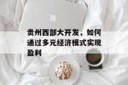 贵州西部大开发，如何通过多元经济模式实现盈利