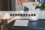 河北农村适合什么项目