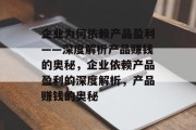 企业为何依赖产品盈利——深度解析产品赚钱的奥秘，企业依赖产品盈利的深度解析，产品赚钱的奥秘