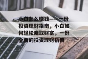 小白怎么赚钱——一份投资理财指南，小白如何轻松赚取财富，一份全面的投资理财指南