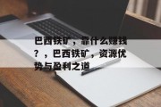 巴西铁矿，靠什么赚钱？，巴西铁矿，资源优势与盈利之道