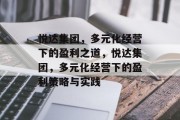 悦达集团，多元化经营下的盈利之道，悦达集团，多元化经营下的盈利策略与实践