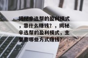 揭秘辛选帮的盈利模式，靠什么赚钱？，揭秘辛选帮的盈利模式，主要靠哪些方式赚钱？