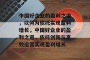 中国好企业的盈利之道，以何为依托实现盈利增长，中国好企业的盈利之道，依托创新与高效运营实现盈利增长