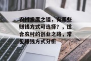 农村发展之道，有哪些赚钱方式可选择？，适合农村的创业之路，常见赚钱方式分析