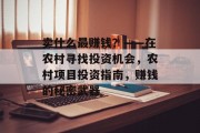 卖什么最赚钱？——在农村寻找投资机会，农村项目投资指南，赚钱的秘密武器