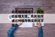 农民如何赚钱？，种地也能赚大钱，农民如何通过种植作物实现经济独立