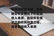 农民的财富之路，探索新型农业模式下的家庭收入来源，新型农业模式下的农民财富之路，探索家庭收入来源