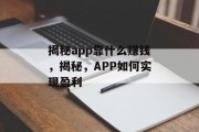 揭秘app靠什么赚钱，揭秘，APP如何实现盈利