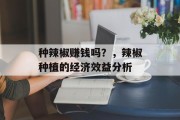 种辣椒赚钱吗？，辣椒种植的经济效益分析