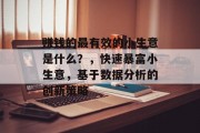 赚钱的最有效的小生意是什么？，快速暴富小生意，基于数据分析的创新策略