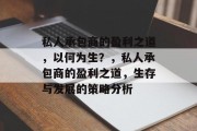 私人承包商的盈利之道，以何为生？，私人承包商的盈利之道，生存与发展的策略分析