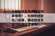 小城市创业有哪些好项目推荐？，小城市创业热门选择，精选投资方案与优质项目推荐