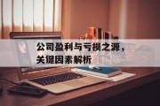 公司盈利与亏损之源，关键因素解析