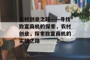 农村创业之路——寻找致富商机的探索，农村创业，探索致富商机的实践之路