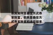 农民如何靠最佳方式养家致富，农民靠最佳方式养家致富的途径探索