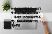 养小龙虾赚钱吗？这门生意是否值得你投资？，小龙虾养殖利润大不大？投资者需关注的几个问题