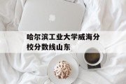 哈尔滨工业大学威海分校分数线山东