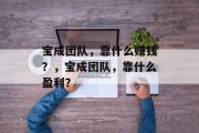 宝成团队，靠什么赚钱？，宝成团队，靠什么盈利？