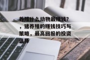 养殖什么动物最赚钱？，猪养殖的赚钱技巧与策略，最高回报的投资选择