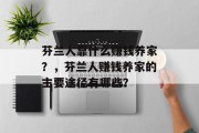 芬兰人靠什么赚钱养家？，芬兰人赚钱养家的主要途径有哪些？