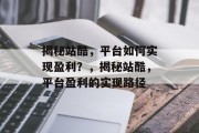 揭秘站酷，平台如何实现盈利？，揭秘站酷，平台盈利的实现路径