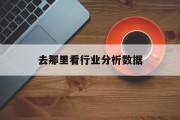 去那里看行业分析数据