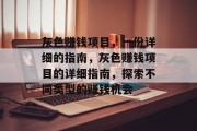 灰色赚钱项目，一份详细的指南，灰色赚钱项目的详细指南，探索不同类型的赚钱机会