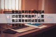 爱情公寓的老板如何通过运营实现盈利？，爱情公寓老板的运营盈利策略解析