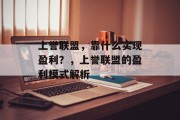 上誉联盟，靠什么实现盈利？，上誉联盟的盈利模式解析