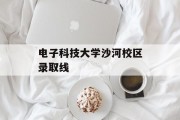 电子科技大学沙河校区录取线