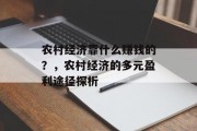 农村经济靠什么赚钱的？，农村经济的多元盈利途径探析