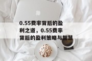 0.55费率背后的盈利之道，0.55费率背后的盈利策略与智慧