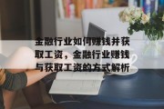 金融行业如何赚钱并获取工资，金融行业赚钱与获取工资的方式解析